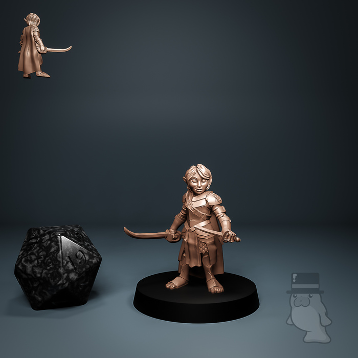 Female Gnome - DnD Heroes: Fighters - Tytan Troll :: Mini Manatee New ...
